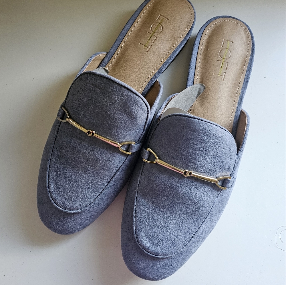 Beautiful powder blue Loft mules